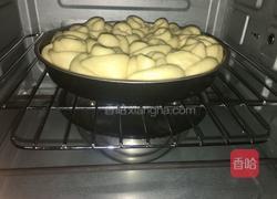 玫瑰花面包的做法图解13