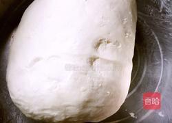 猪肉虾米白菜饺子的做法图解1