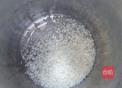 奶香米糊的做法图解1