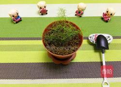 自制海苔味肉松的做法图解12