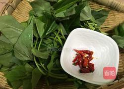 炝炒苕尖的做法图解2