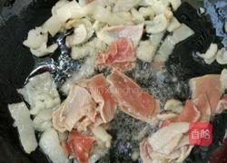 MjUwX2MyOjEvM15yYjI6MS84XzE4MA