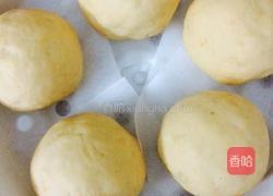红豆红薯包子的做法图解6
