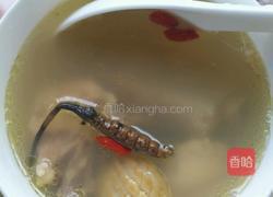 虫草鲜鲍鸡汤的做法图解8