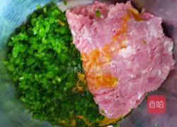 青椒肉馅包子的做法图解4