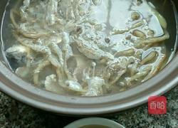 鱼腥草瘦肉鲫鱼汤的做法图解5