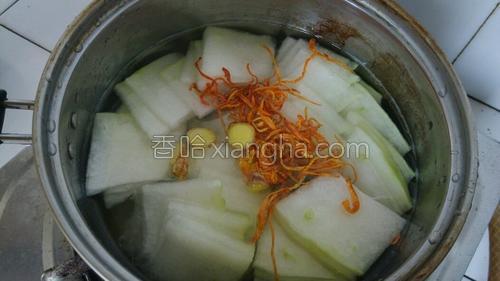 虫草花冬瓜肉片汤的做法大全【图】_虫草花冬