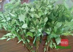 绿豆腐（柴豆腐）的做法图解1
