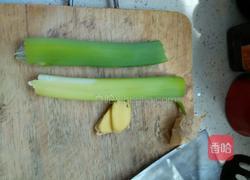 冬瓜炖排骨的做法图解4