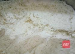 油渣西葫芦包子的做法图解13