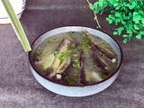 泥鳅汤