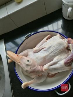 1.准备材料.老鸭一只.去毛,去 内脏.洗净.