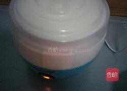 酸奶的做法图解3