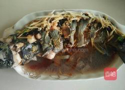 清蒸潜鱼的做法图解2