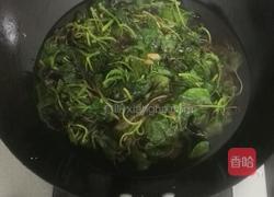 姜片苋菜的做法图解4