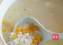 早餐西兰南瓜粥的做法图解5