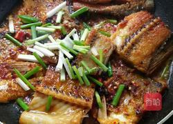 香焖翘白鱼的做法图解9