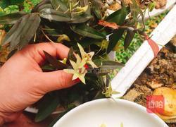铁皮石斛花枸杞茶的做法图解1