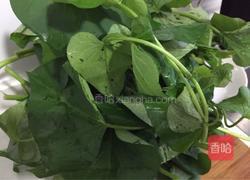 豆酱炒薯苗的做法图解1