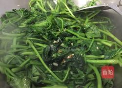 豆酱炒薯苗的做法图解3