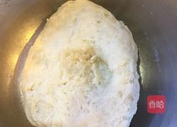蛋黄酥（豆沙）的做法图解2