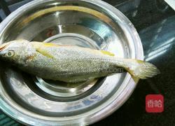 红烧黄花鱼的做法图解1
