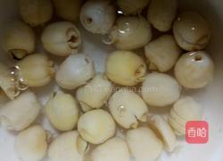 荔枝羹的做法图解4