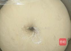 全麦面包的做法图解8