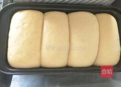 全麦面包的做法图解15