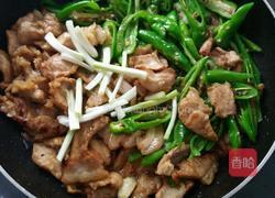 家常辣椒炒肉的做法图解11