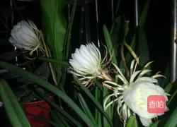 昙花瘦肉汤的做法图解1