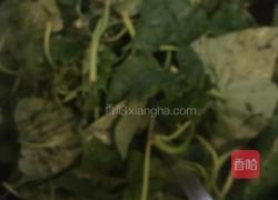 干辣椒炒红薯叶的做法图解4