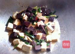 豆腐炒猪血的做法图解6