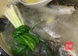 鲫鱼汤的做法图解8