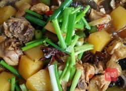 土豆烧鸡的做法图解5