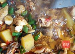 土豆烧鸡的做法图解4