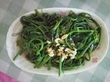 蒜炒佛手瓜苗