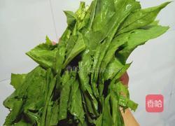 上汤苦麻菜的做法图解1