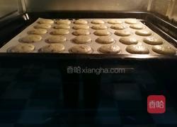 蔓越莓干薄脆饼的做法图解6