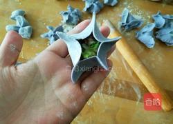 迎春花饺子 的做法图解7