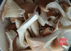 猪油蒸大肚菇的做法图解3