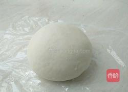 鲜虾饺(含饺子皮的做法)的做法图解2