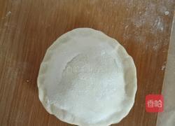 茴香素合子的做法图解13