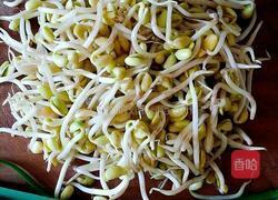 炒豆芽的做法图解1