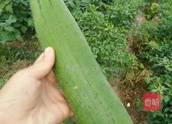 丝瓜炒肉的做法图解1