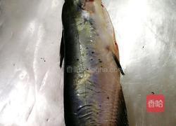 水煮湄公鱼的做法图解1