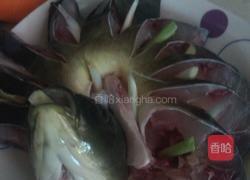 开屏石斑鱼的做法图解1