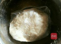 白菜虾仁饺子的做法图解1