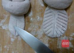 小鸽子馒头的做法图解6