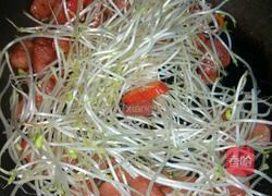 甜椒豆芽炒鸡肉肠的做法图解5